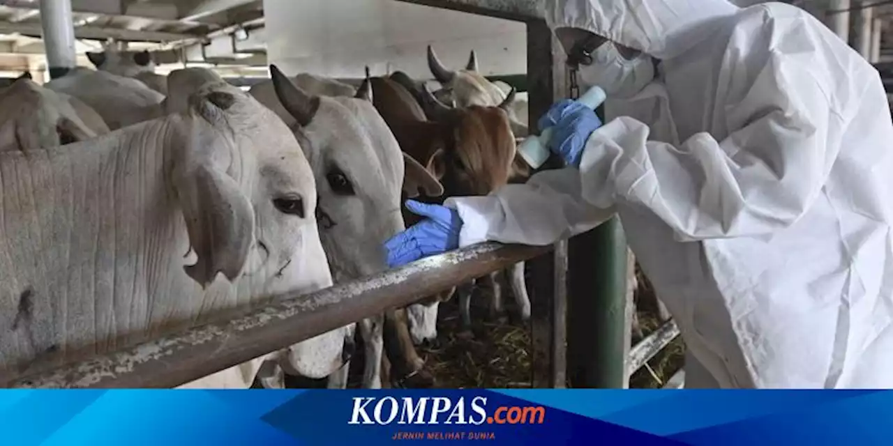 Pemkot Jakarta Timur Imbau Penjual Hewan Kurban Semprotkan Disinfektan pada Calon Pembeli