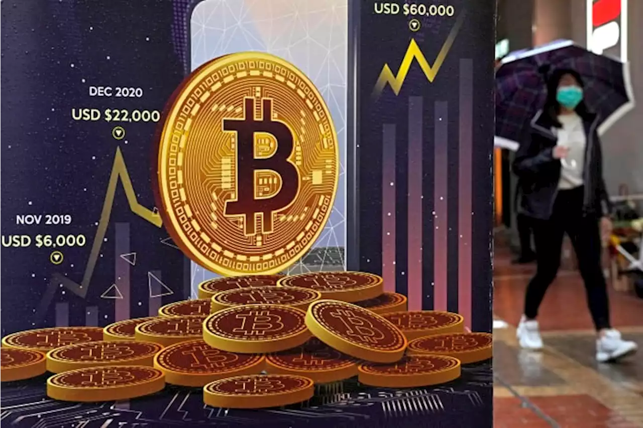 Crypto investors' hot streak ends as harsh 'winter' descends