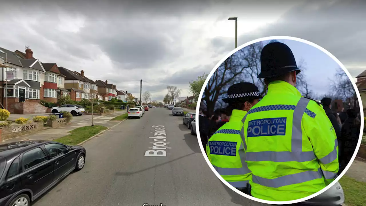 Man, 37, arrested after mother and son, 5, stabbed to death in north London