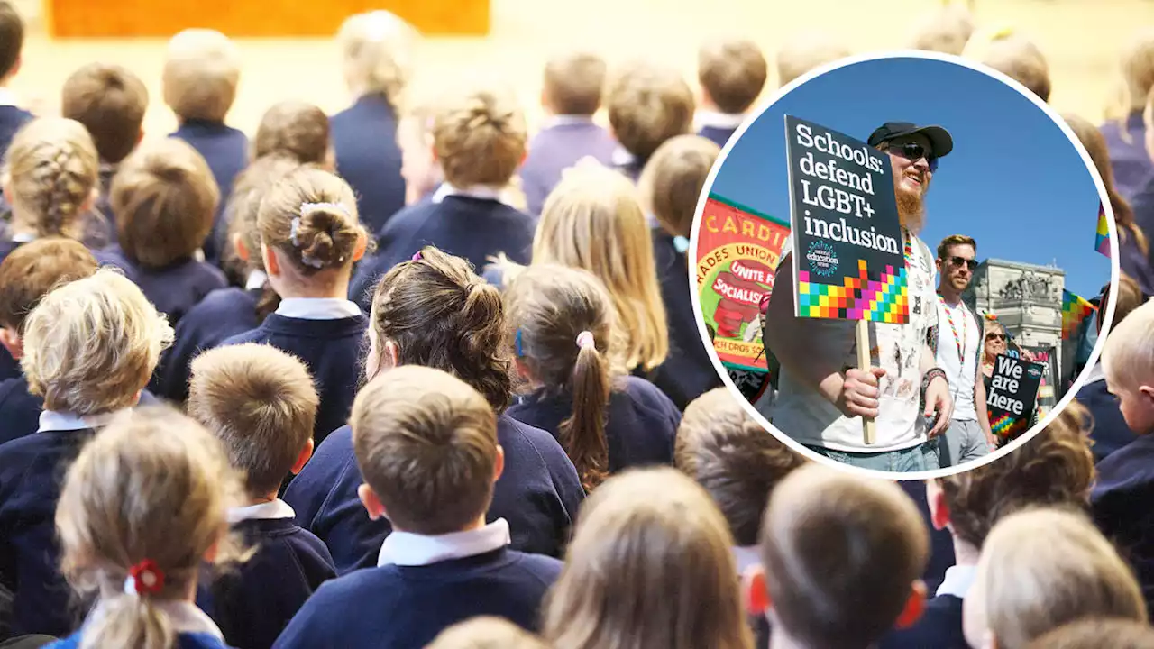 Parents blocked from viewing school sex education material which 'denies biological sex'