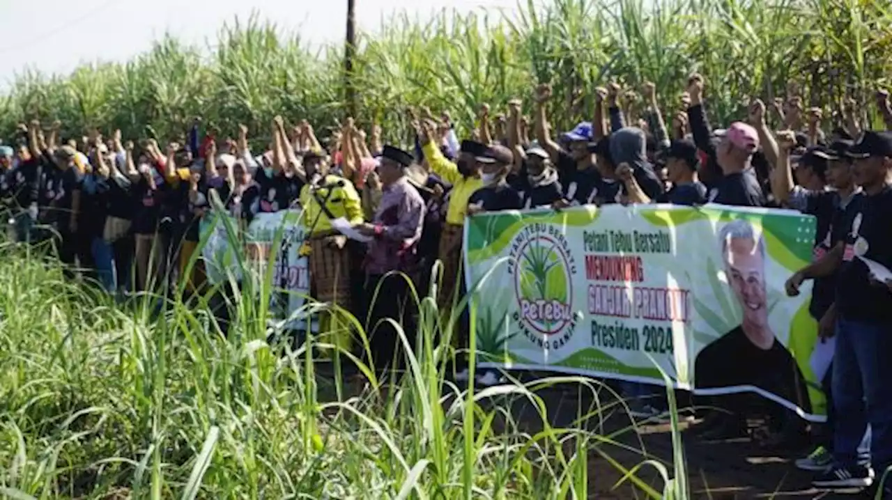 Petani Tebu di Pulau Sumatera Ikut Dukung Ganjar Presiden 2024