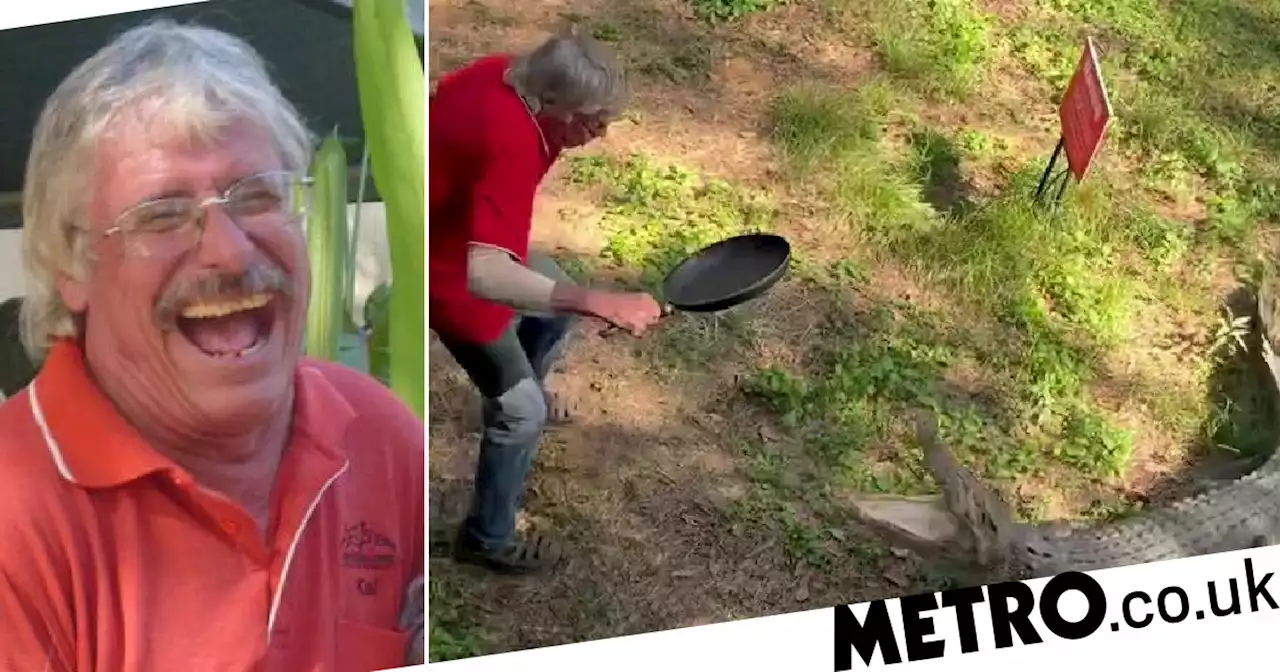 Pub owner says he gave huge crocodile a 'good lesson' with his frying pan