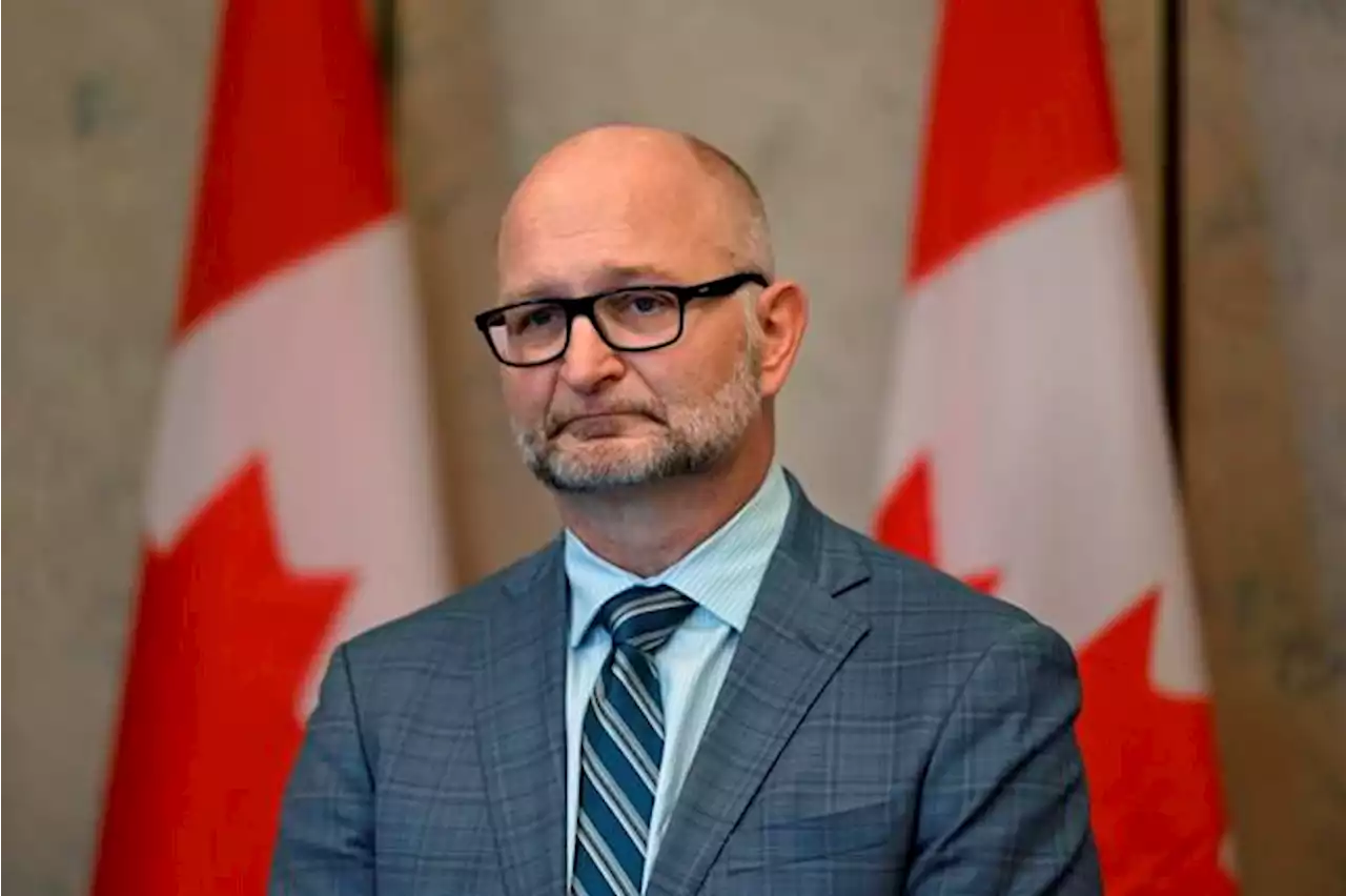 MPs agree to expedite passage of ‘extreme intoxication’ bill in House of Commons | National Newswatch