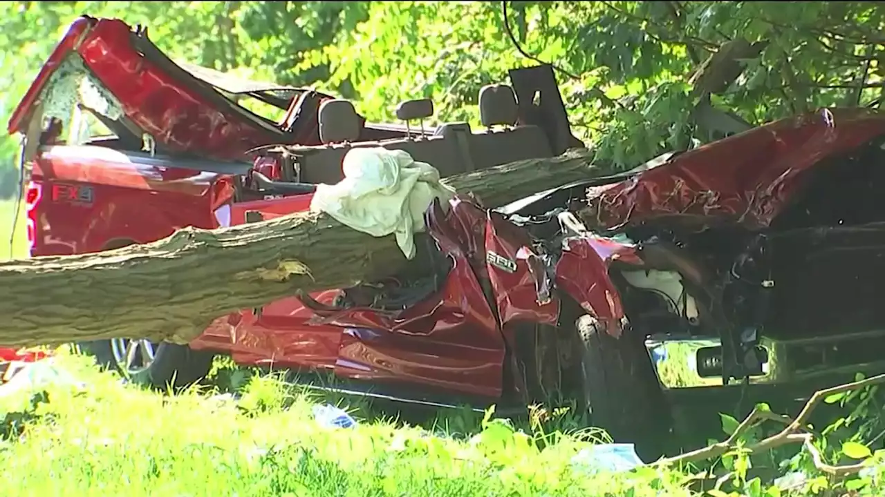 Tree Falls Suddenly, Crushing Pickup Truck and Killing Man on NY Highway