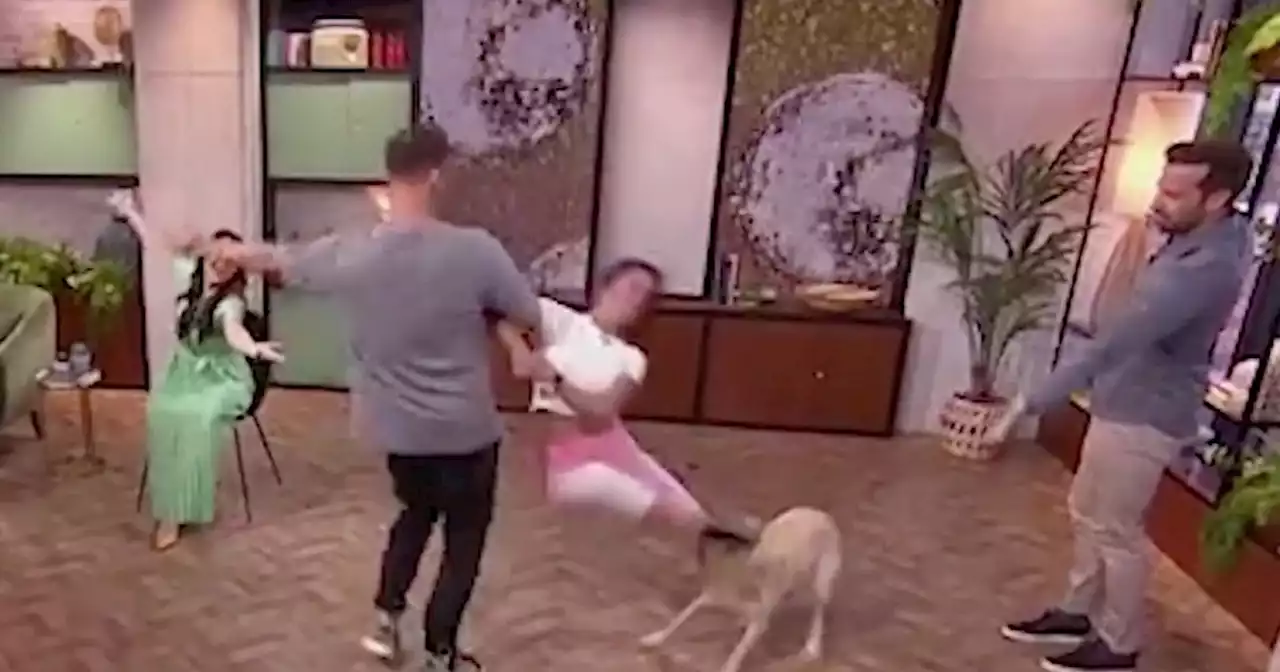 Strictly’s Janette Manrara issues statement after kicking dog on Morning Live