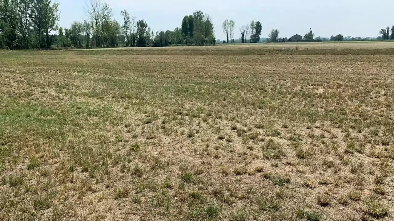 Siccità, in Lombardia 'l'acqua per uso agricolo è agli sgoccioli, impiegata tutta la disponibilità'