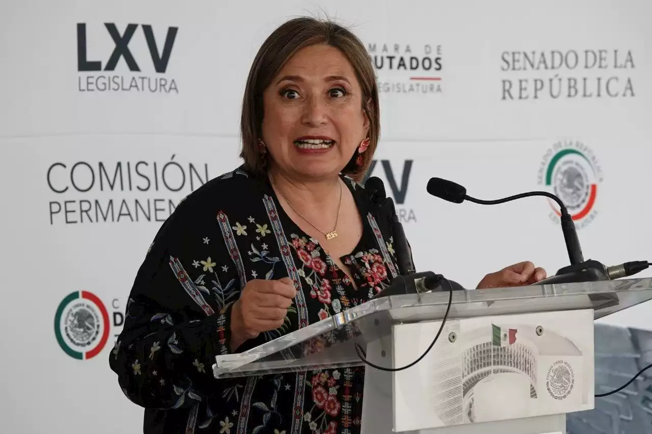 Xóchitl Gálvez se destapa para 2024: “Seré la jefa de gobierno de la CDMX” (VIDEO)