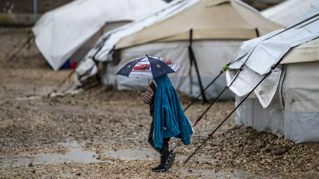 Seize enfants belges et six femmes rapatriés de Syrie