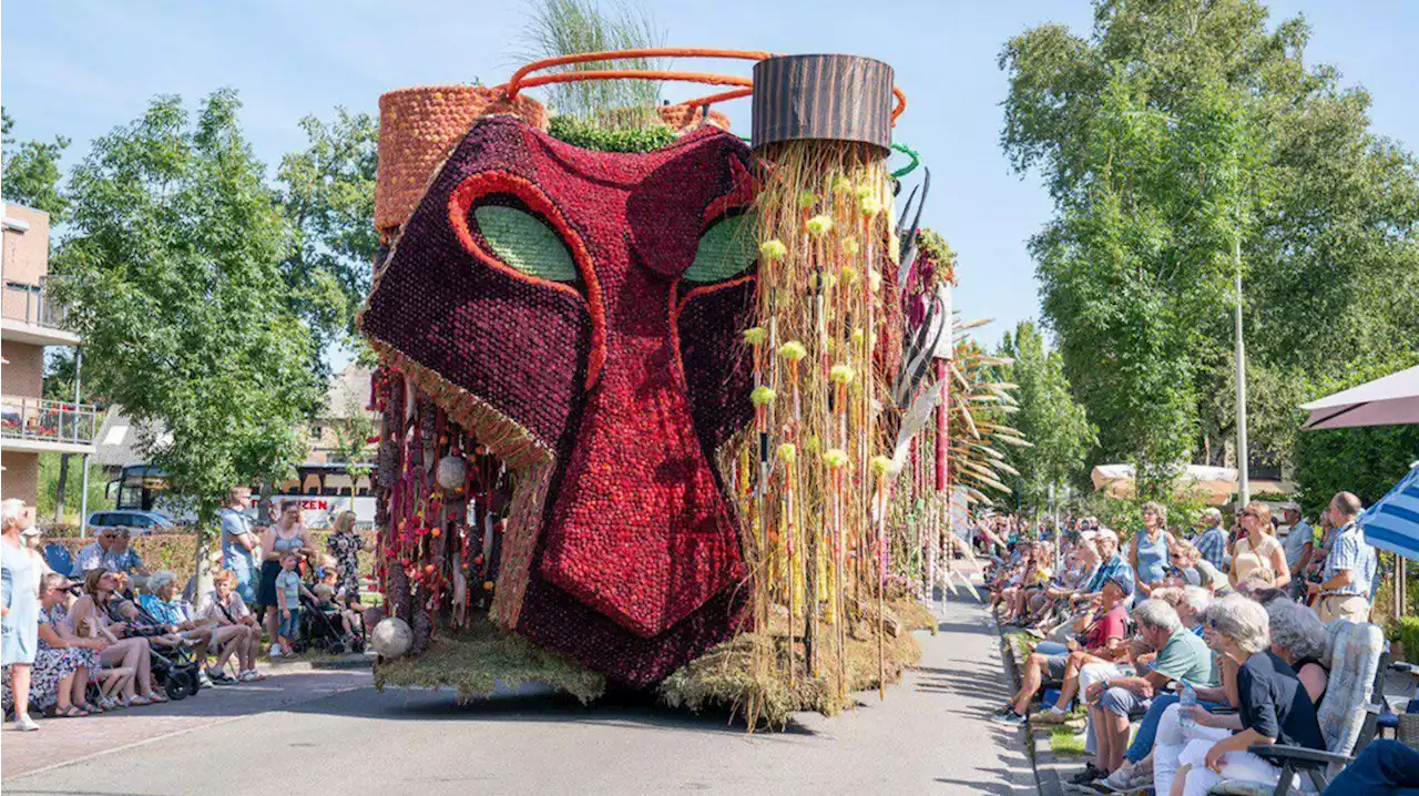 'Zuidlaardermarkt en Bloemencorso mogen geen dupe stikstofcrisis worden'