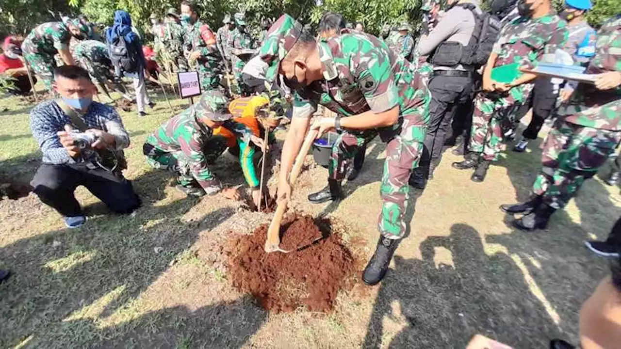 Wah, Ada 1.000 Pohon Eucalyptus di Urban Forest Solo Peninggalan Jokowi