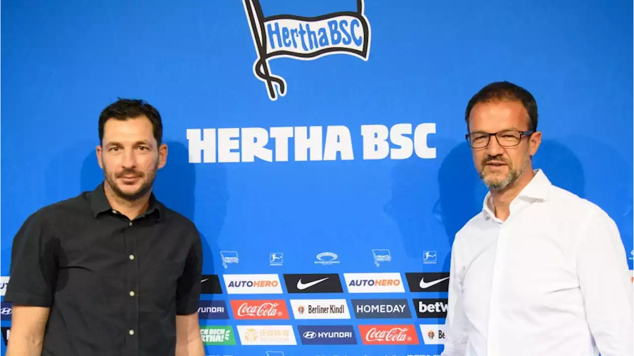 Coach Sandro Schwarz in Berlin: Hertha sucht Hertha