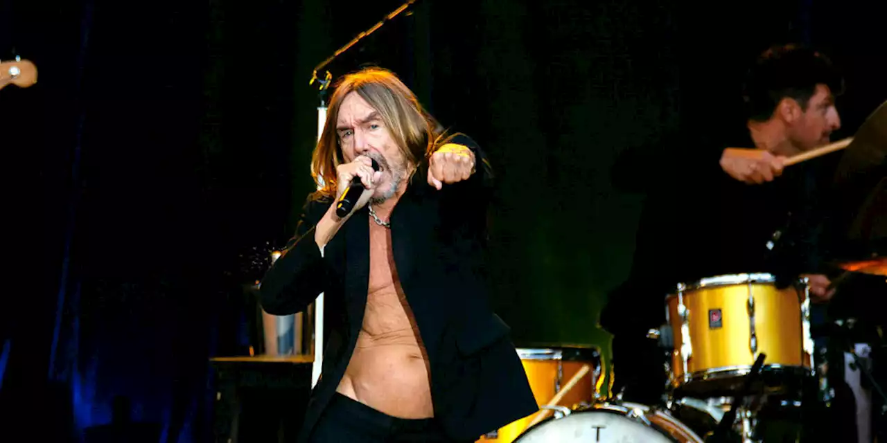 Konzert von Iggy Pop in Hamburg: Der Lotse geht nicht von Bord