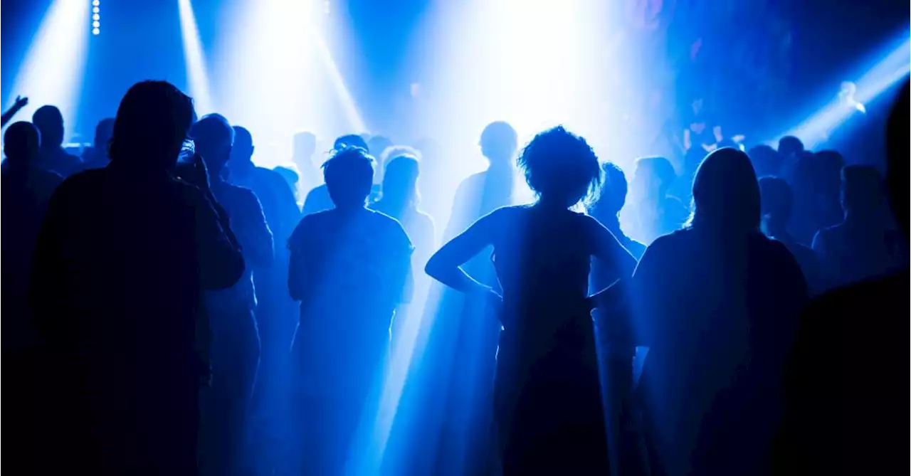 Pubs And Nightclubs Could Become Art Exhibitions Under New Scheme