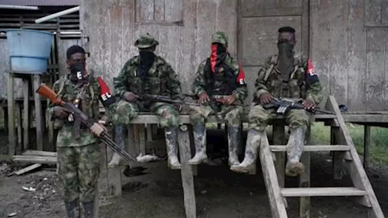 Colombia's ELN rebels pitch for peace talks with new Petro govt