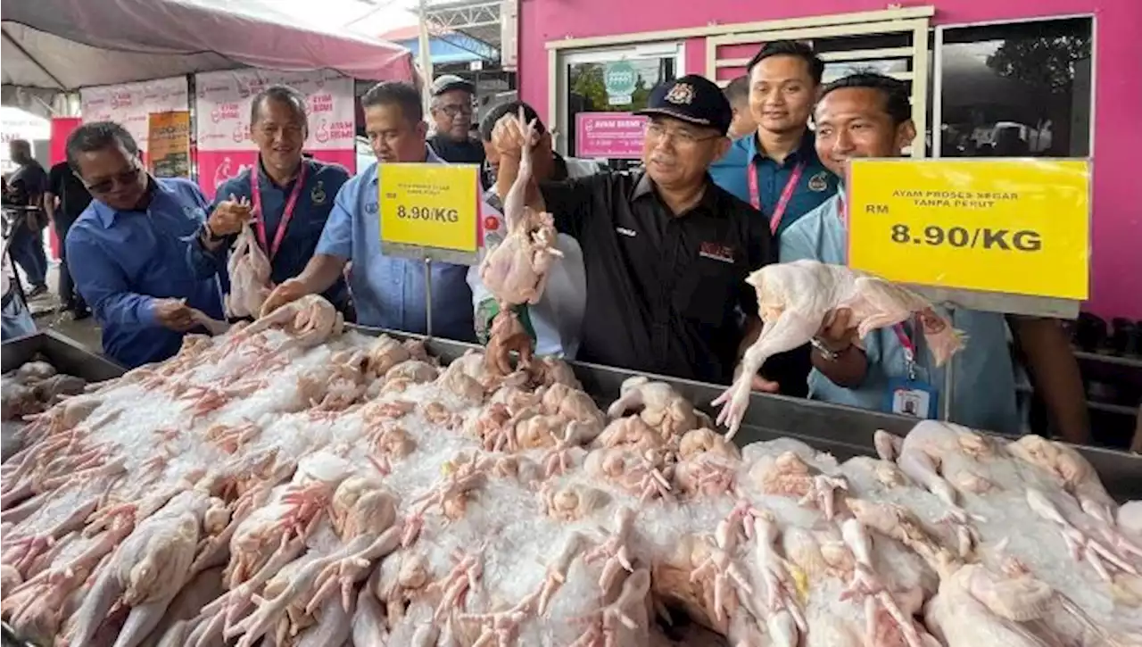 ‘Jangan terlampau seronok harga ayam diapungkan’