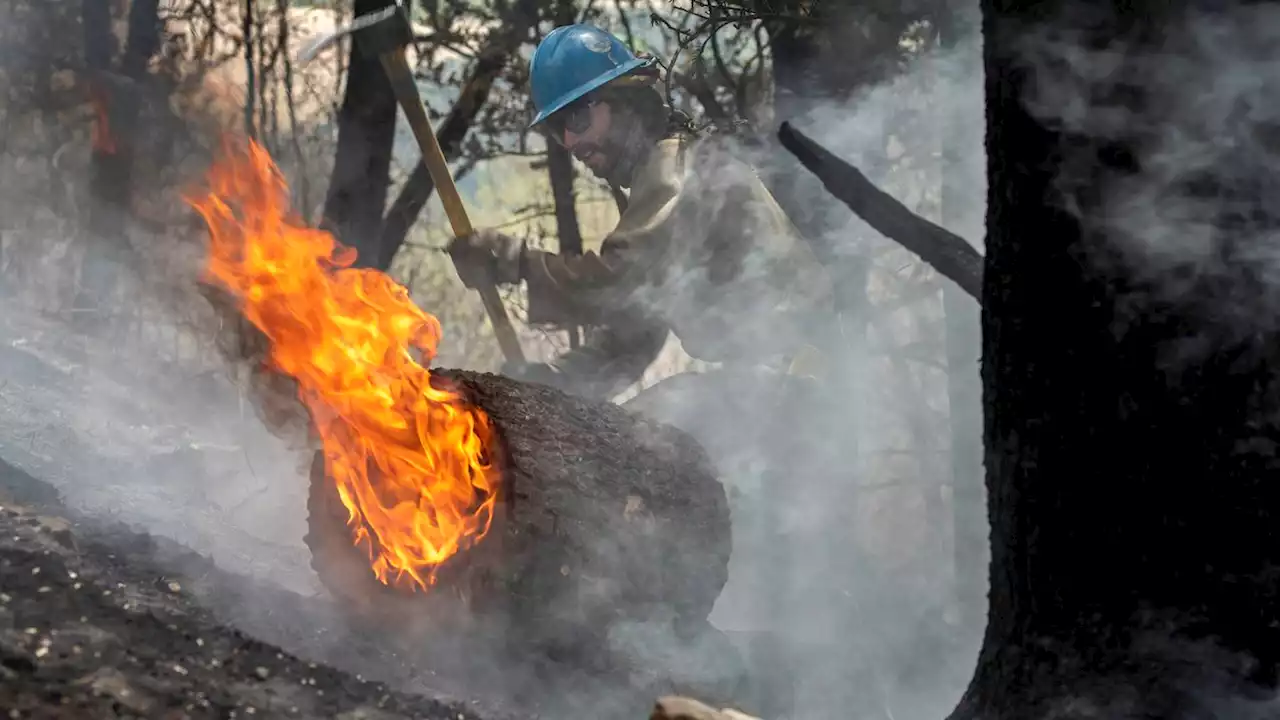 Miscalculations, errors blamed for massive New Mexico blaze