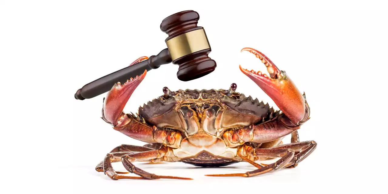 When Online Shoppers Feel Cheated, It’s Time to Go to Crab Court