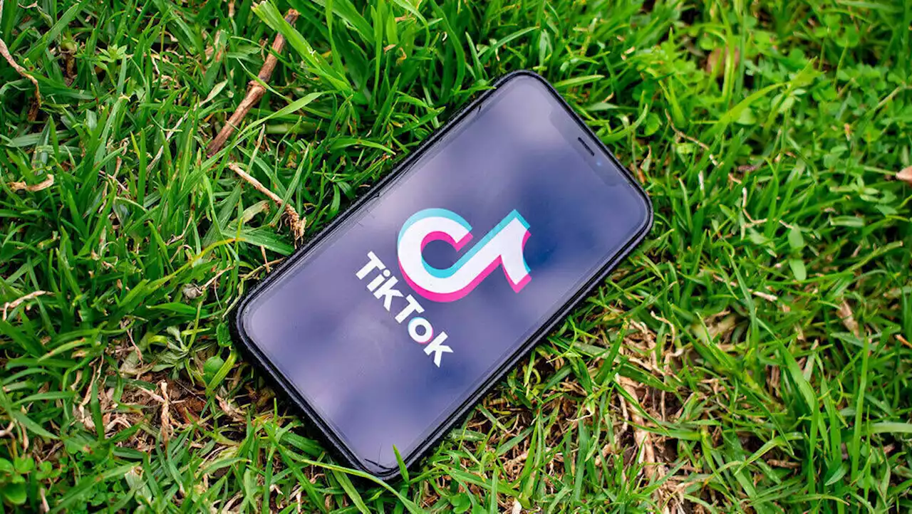 Tiktok verspricht mehr Schutz vor versteckter Werbung | W&V