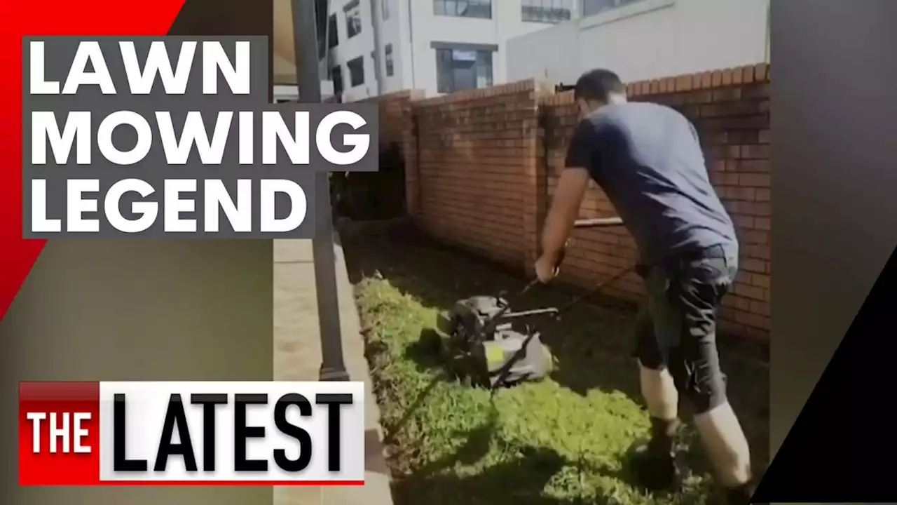 The Sydney lawn mower whose tricks of the trade are going viral | 7NEWS