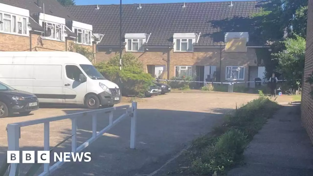 Woman, 89, stabbed to death in Croydon residential home