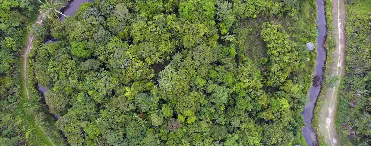 Badai PHK Startup, Saatnya Climate Tech Bersinar? | Teknologi - Bisnis.com