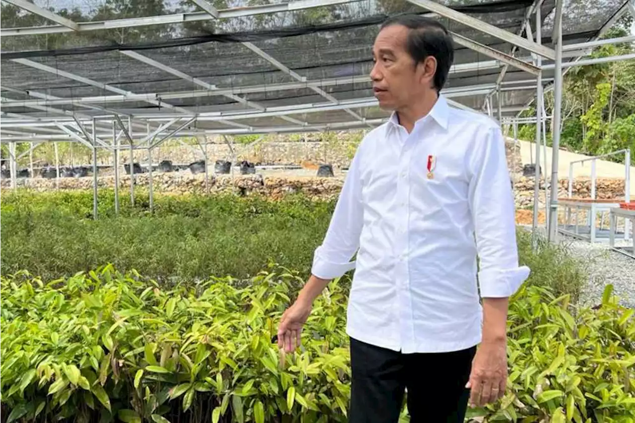 Jokowi Optimistis Pembangunan IKN Berjalan Lancar | Kabar24 - Bisnis.com