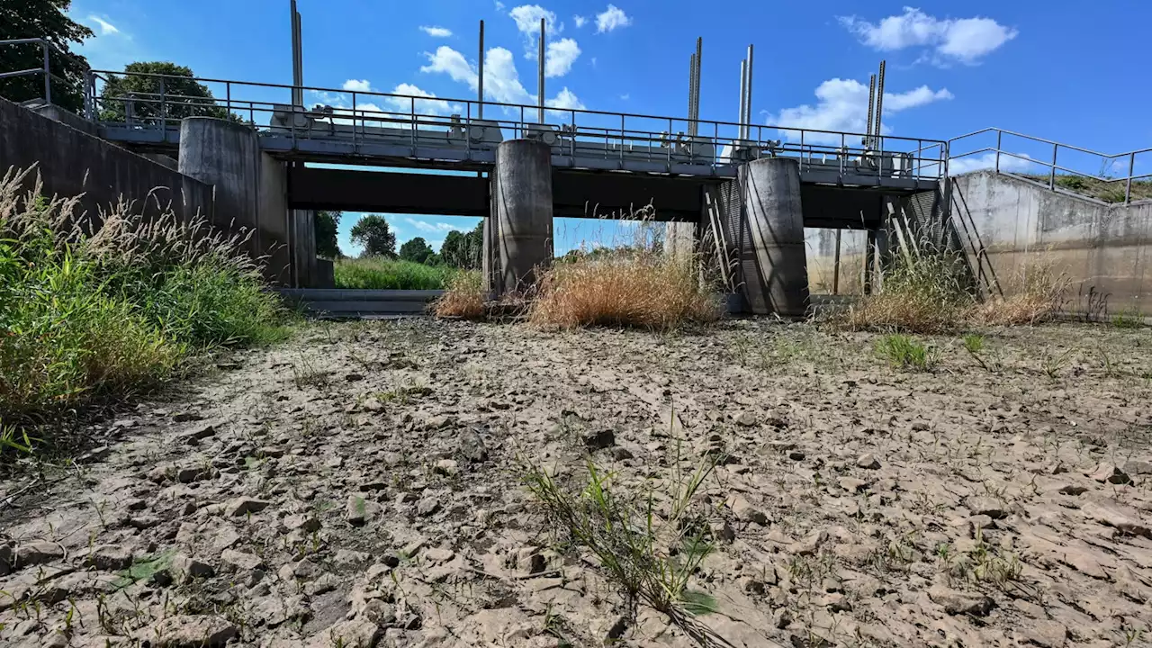 So will Sachsen die Berliner Spree retten