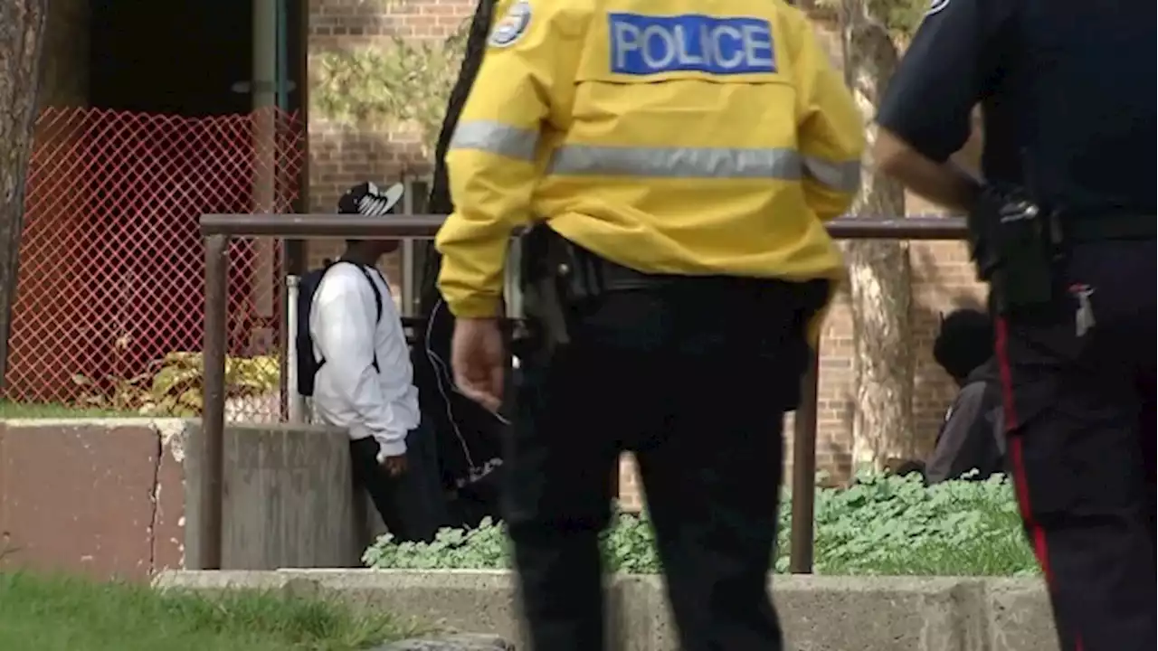Ontario law doesn't prevent Toronto police from using race-based data to assess officers: IPC