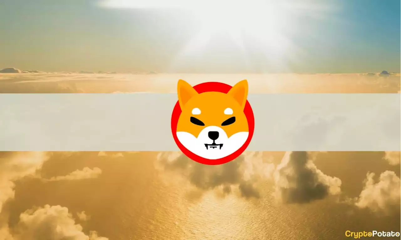 Bitcoin Slips to $20K, Shiba Inu Soars 12% (Market Watch)