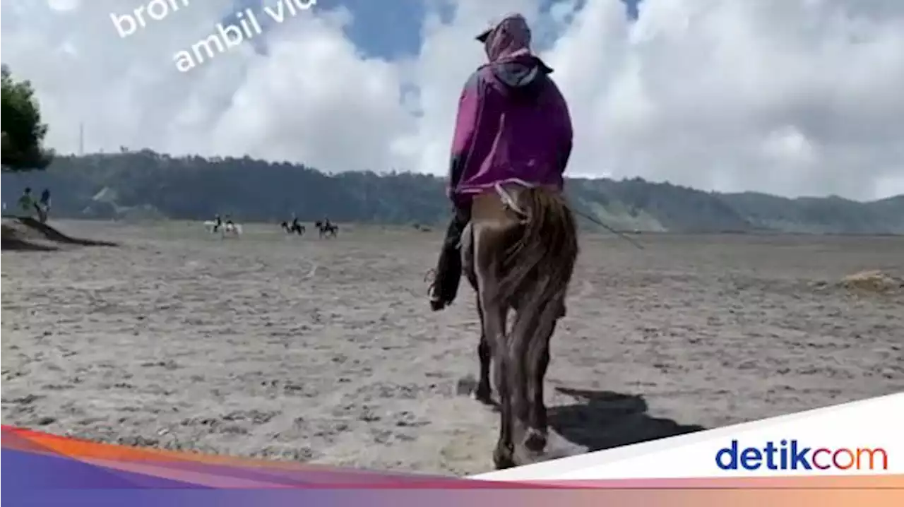 Rekam Tanpa Izin, Wisatawan Gunung Bromo Dipalak Oknum Ojek Kuda