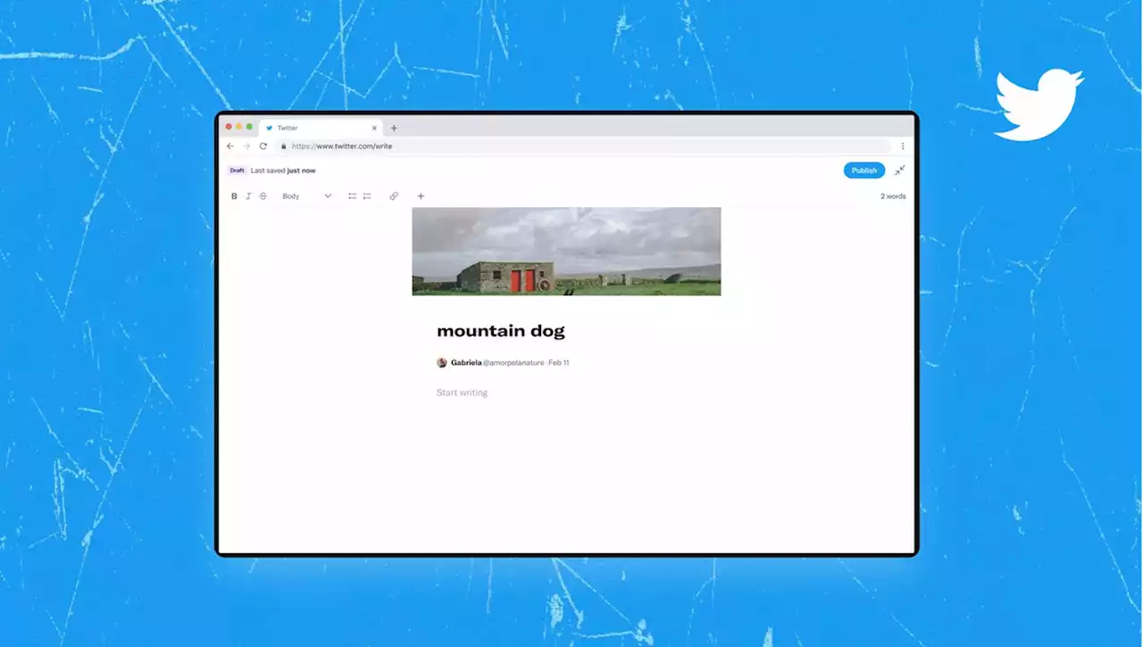 Twitter wants writers to publish longform content with 'Notes' | Engadget