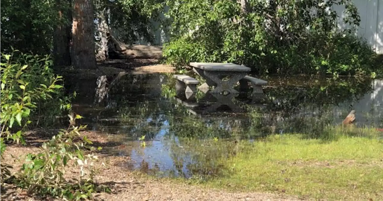 Shuswap Lake still slowly rising, 2 parks closed says CSRD - Okanagan | Globalnews.ca