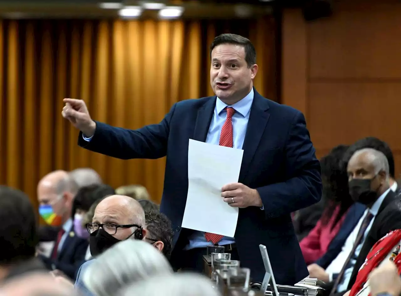 MPs adjust to idea of carrying panic buttons amid rising threats