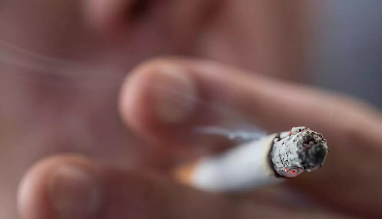 US seeks to drastically cut nicotine content in cigarettes