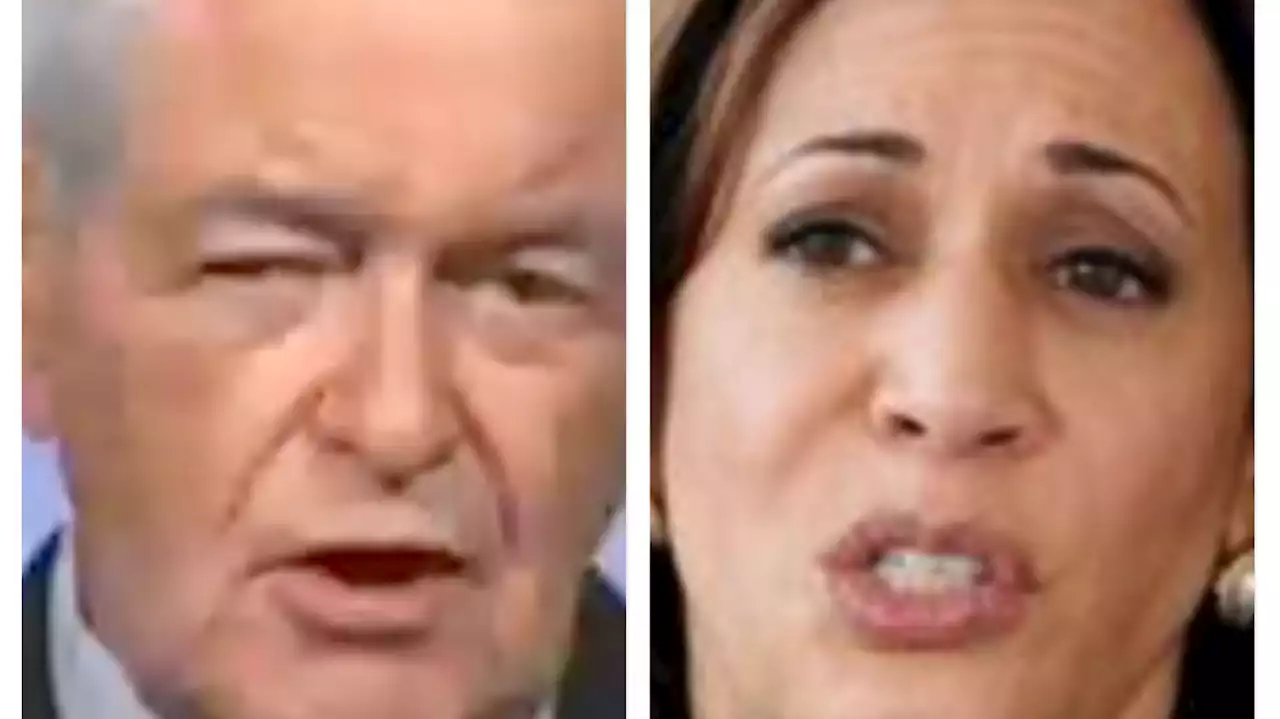 Newt Gingrich's Kamala Harris Insult Barrage Might Be Beneath Even Him