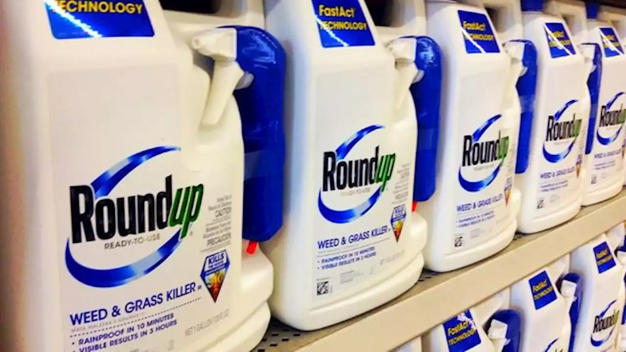 Roundup: Corte Suprema de EEUU confirmó la condena a Bayer