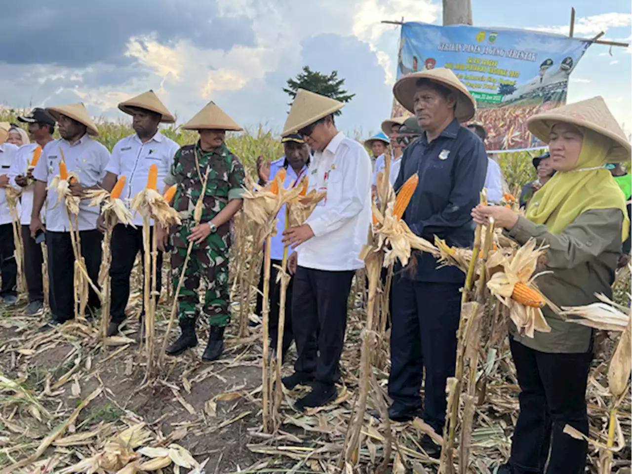 Hari Krida Pertanian Nasional, Pemda Keerom Mantap Menuju Pangan Nasional