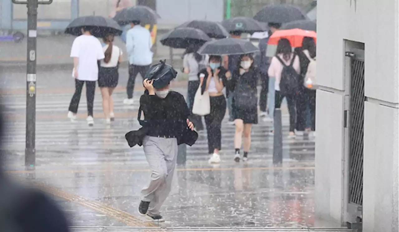 내일부터 본격 장마…폭우 뒤엔 폭염 이어진다