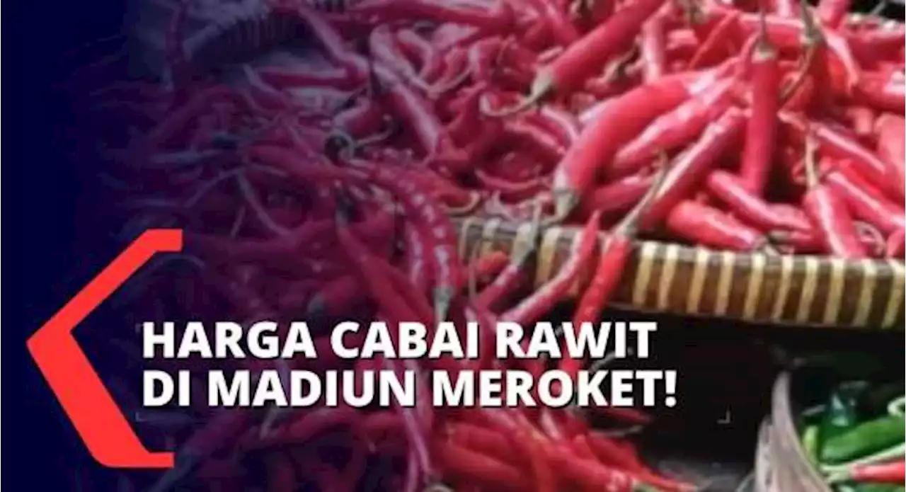 Harga Cabai Rawit di Madiun Tinggi, Gagal Panen Masih Membayangi