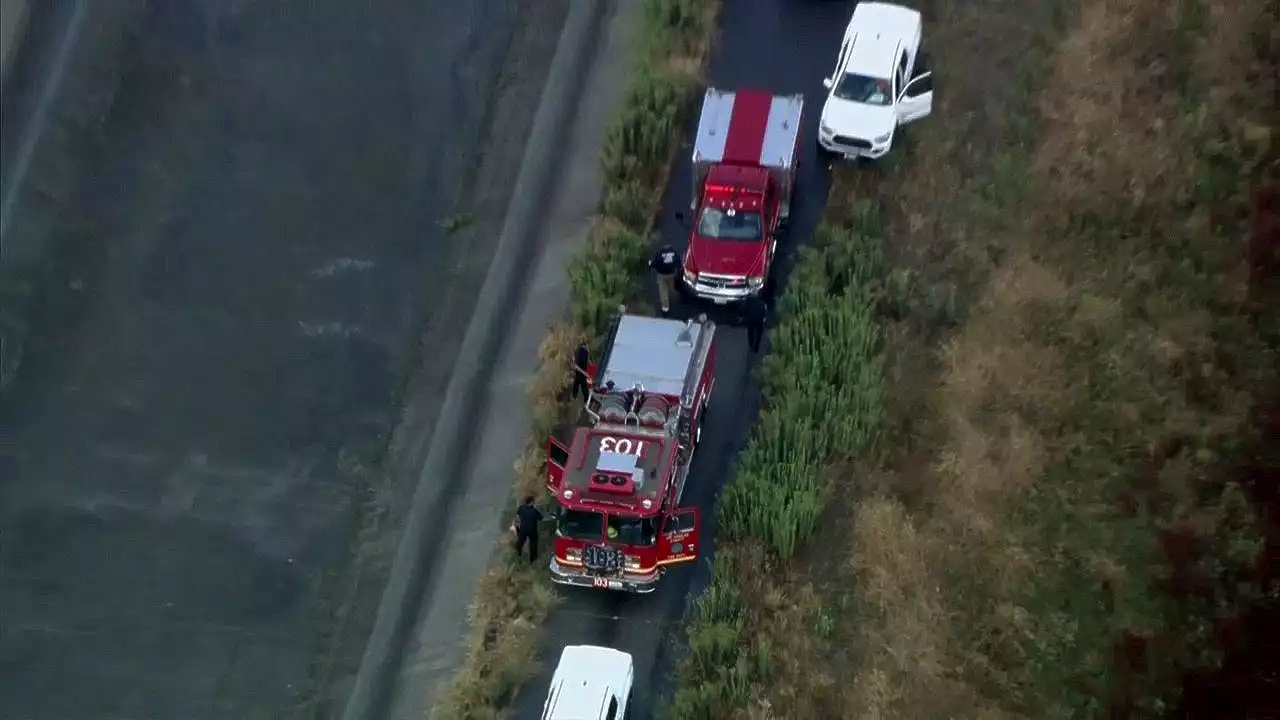 California woman, 2 dogs struck and killed by lightning