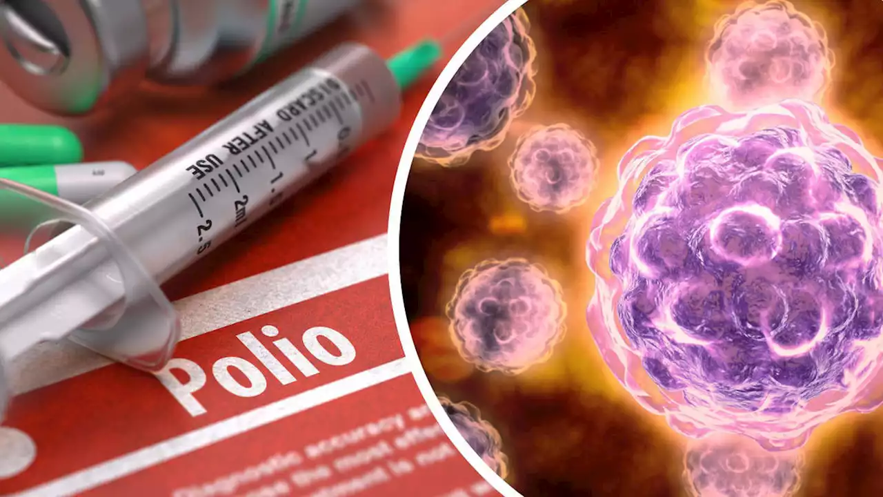 Polio explained: What is the virus and should we be worried about London traces?