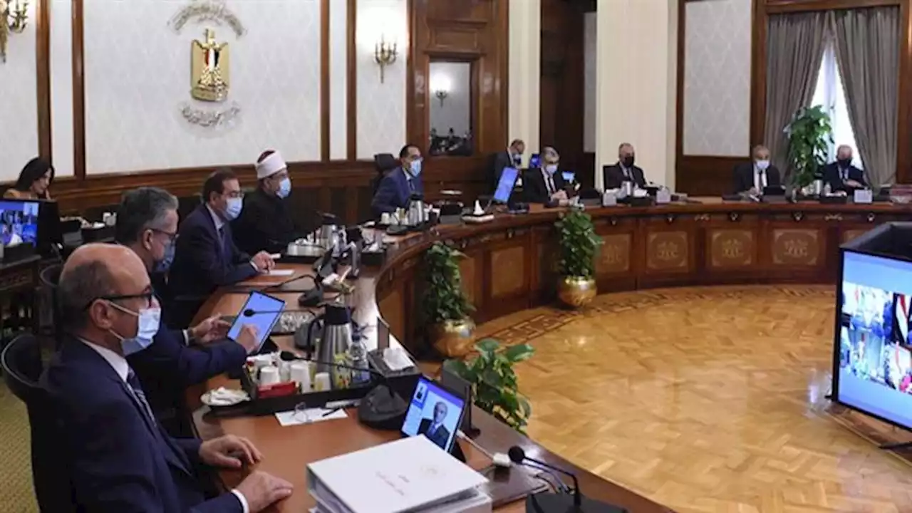 لبيعها بسعر مخفض.. الحكومة تعفي دواجن وزارة التموين المجمده من الضرائب والجمارك