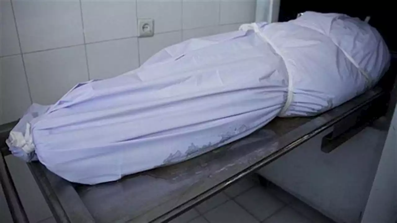 'مش عايزاني اتخانق فكسرت جمجمتها بساطور'.. قصة مقتل ربة منزل على يد زوجها بسوهاج