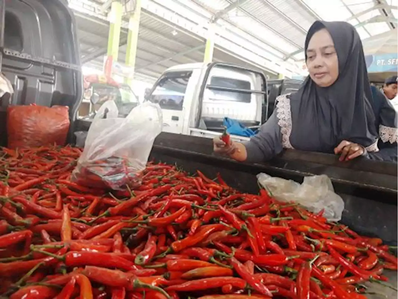 Harga Cabai Rawit di Bengkulu masih Bertahan Rp90 Ribu Per Kilogram