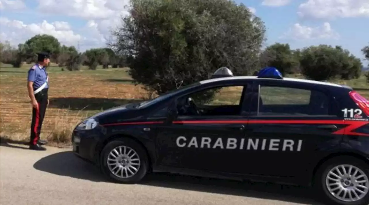 Acireale (Catania), rubavano agrumi: due uomini uccisi in un campo