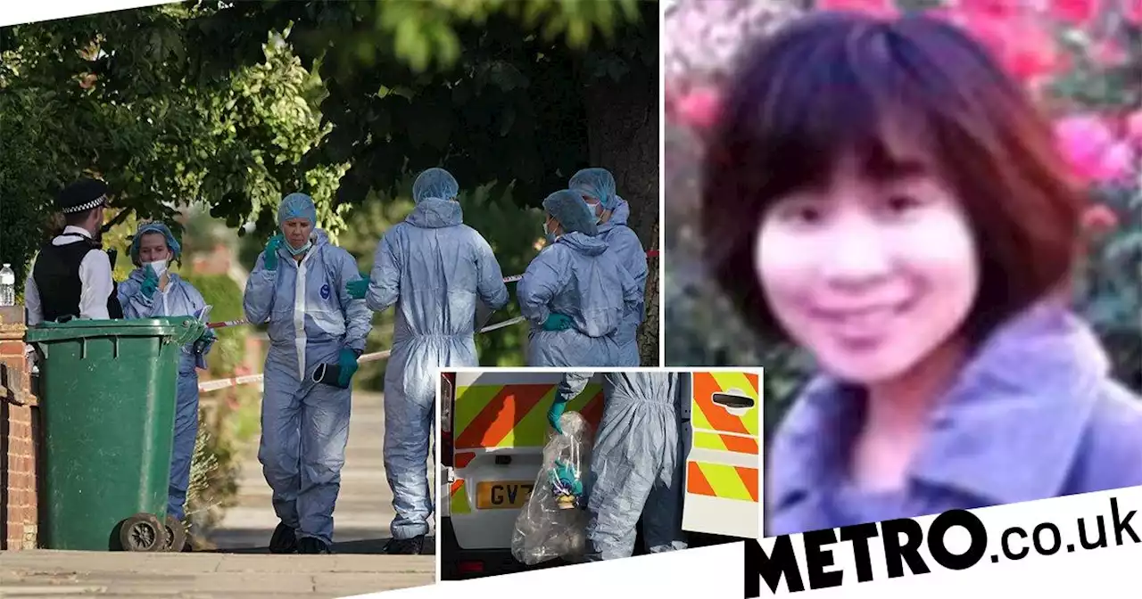 Pictured: 'Perfect' mum stabbed to death alongside son, 5, at their home