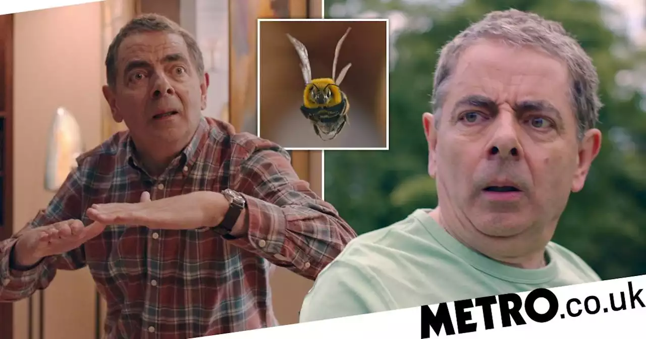 Rowan Atkinson happy to finally play a nice guy in Man Vs Bee after Blackadder