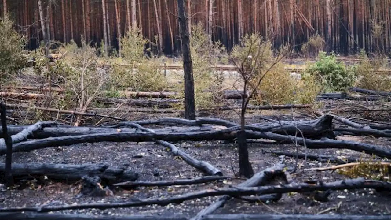 Feuerwehr reduziert nach Brand in Brandenburg Einsatzkräfte