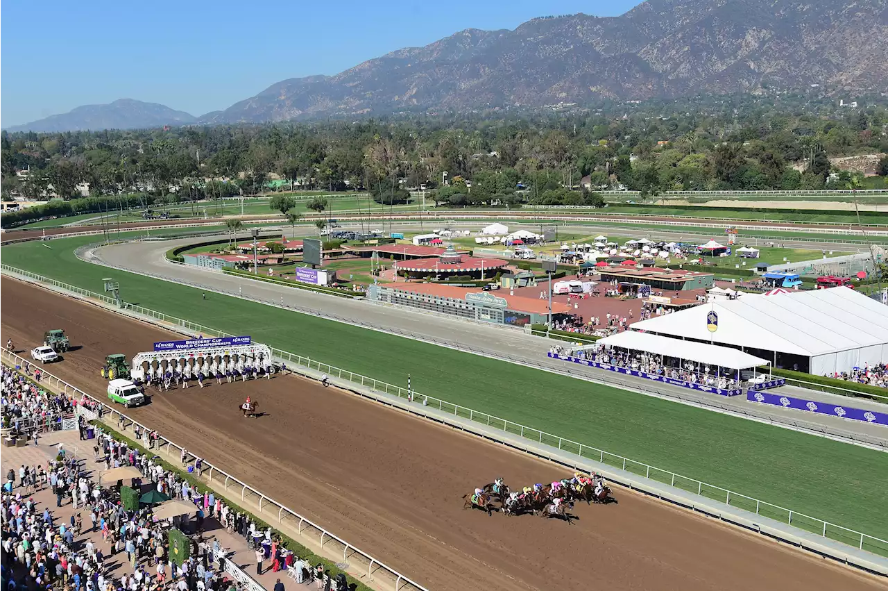 Officials Report Dramatic Drop of Horse Fatalities in Santa Anita Park