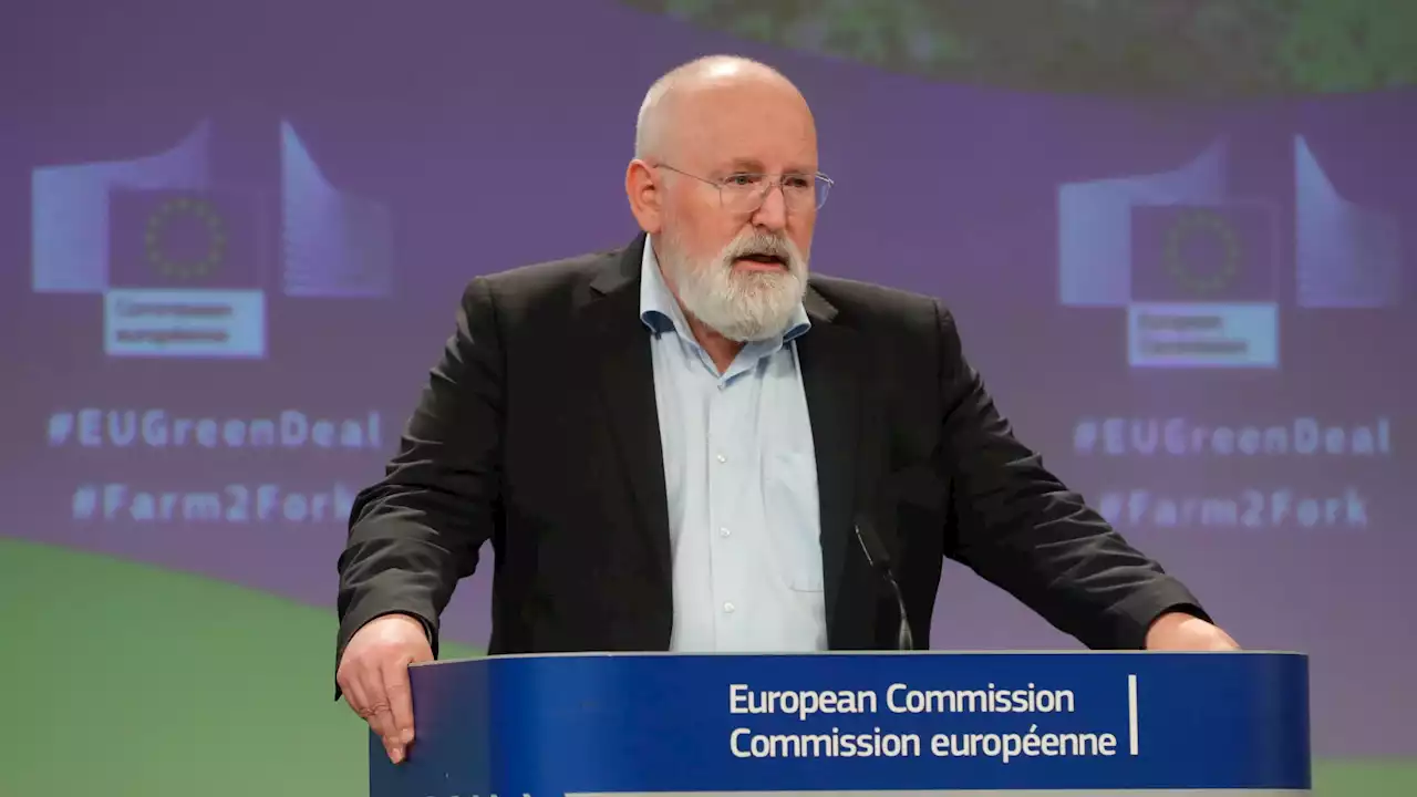 Ue, Timmermans: 'Siccità in Italia e fenomeni devastanti in altri Paesi: è urgente agire sul clima'